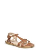 ANGULUS Sandals - Flat