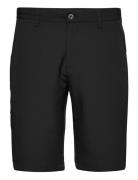 Lexton Links Pancras Shorts Svart