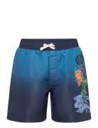 LEGO Kidswear Lwarve 311 - Swim Shorts Blå