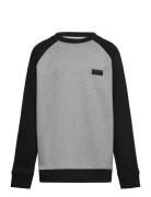 VANS By Core Basic Raglan Crew Grå