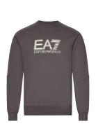 EA7 Sweatshirt Brun