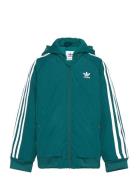 Adidas Originals Bomber Jacket Grön