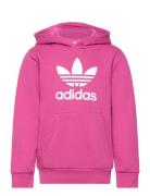 Adidas Originals Trefoil Hoodie Rosa