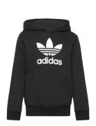 Adidas Originals Trefoil Hoodie Svart