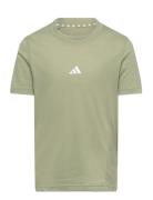 Adidas Sportswear J D4T Tee Khaki Green