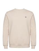 Dickies Oakport Sweatshirt Kräm