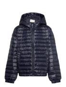 GANT Shiny Light Padded Down Jacket Marinblå