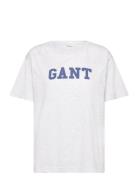 GANT Graphic Ss T-Shirt Grå