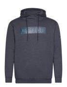 Cruz Sweeny M Hooded Sweatshirt Marinblå