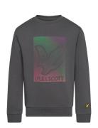 Lyle & Scott Dotted Eagle Graphic Sweatshirt Grå