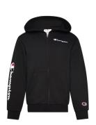 Champion Hooded Full Zip Sweatshirt Svart