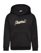 PUMA Ess+ Script Metallic Hoodie Fl G Svart