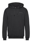 Adidas Terrex Tx Logo Hoody Svart