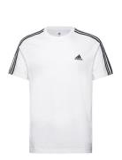 Adidas Sportswear Essentials Single Jersey 3-Stripes T-Shirt Vit