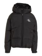 Calvin Klein Ck Short Puffer Jacket Svart