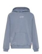 Levi's Lvb Lived-In Hoodie / Lvb Lived-In Hoodie Blå