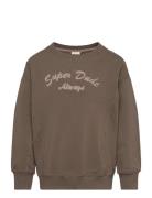 Minymo Sweatshirt Ls Brun