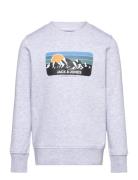 Jack & J S Jjpeak Sweat Crew Neck Jnr Grå