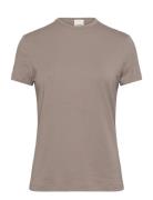 Calvin Klein Modal Stretch C-Neck Slim Top Ss Beige