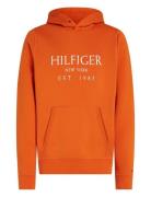 Tommy Hilfiger Big Hilfiger Hoody Orange