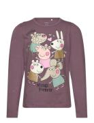 Name It Nmfamanda Peppapig Ls Top Box Cplg Lila