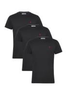 U.S. Polo Assn. Uspa T-Shirt Arjun 3-Pack Svart