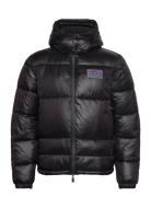 EA7 Jacket Svart