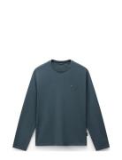 Napapijri Salis Long Sleeve T-Shirt Grön