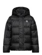 Adidas Originals Down Jacket Elo Svart