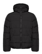 Selected Homme Slhlance Heavy Puffer Jacket Svart