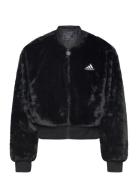 Adidas Sportswear Jg Glm Bomber Svart