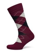 GANT Argyle Socks Burgundy