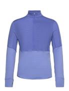 Icebreaker M Mer 200 Realfleece Descender Ls Half Blå