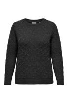 ONLY Carmakoma Caralba L/S Glitter O-Neck Knt Svart