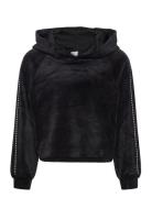 Lindex Sweatshirt Velour With Hood Svart