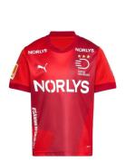 PUMA Dhf Home Jersey Jr Röd