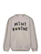 Mini Rodini Mini Rodini Cats Sp Sweatshirt Grå