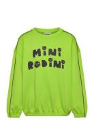 Mini Rodini Mini Rodini Cats Sp Sweatshirt Grön