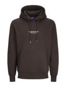 Jack & J S Jorvesterbro Sweat Hood Noos Mni Brun