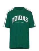 Adidas Sportswear J C Colleg Tee Grön