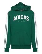 Adidas Sportswear J C Colleg Hd Grön