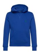 Ralph Lauren Kids Seasonal Fleece-Ls Po Hood-Tp-Knt Blå