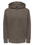 ONLY & SONS Onsdan Life Rlx Heavy Sweat Hoodie Noos Grå