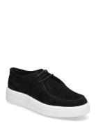 Steve Madden Fayles Sneaker Svart