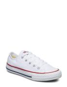 Converse Ctas Ox Optical White Vit