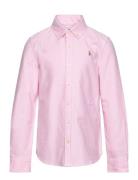 Ralph Lauren Kids Cotton Oxford Shirt Rosa