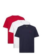 Ralph Lauren Kids Cotton Jersey Crewneck Tee 3-Pack Multi/patterned