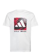 Adidas Sportswear J Camo Logo Tee Vit