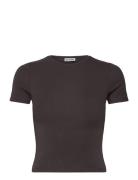 Weekday Slim Fitted T-Shirt Brun