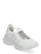 Steve Madden Meter Sneaker Vit